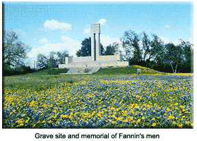 Fannin's monument