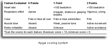 Apgar scoring system