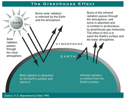 Greenhouse Effect