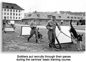 K9 corps basic training