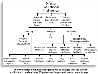 Business Intelligence Org Chart